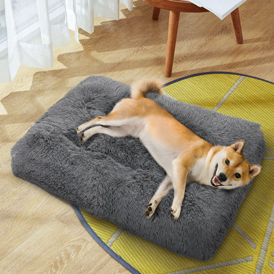 Dog bed carpet hotsell